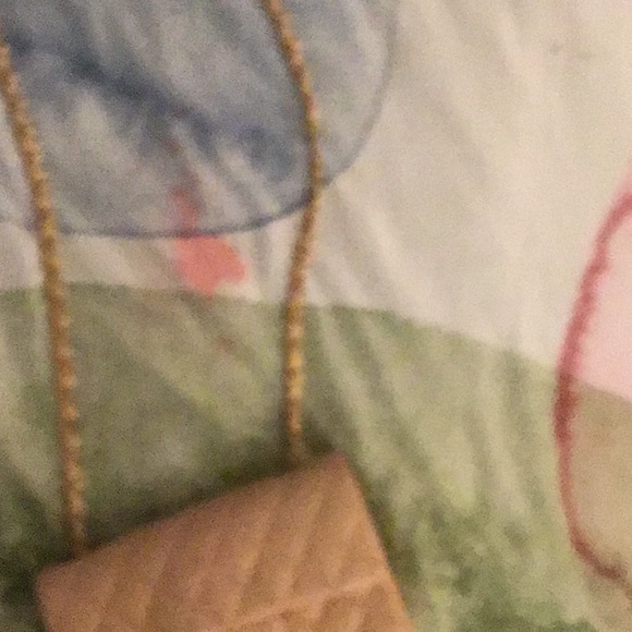 I’m selling the Chanel bag for cheep! - Picture 5 of 5